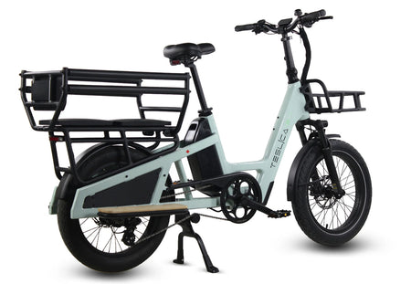 Care-Go Cargo Long-Tail 500W (CG3) | Electric Bicycle