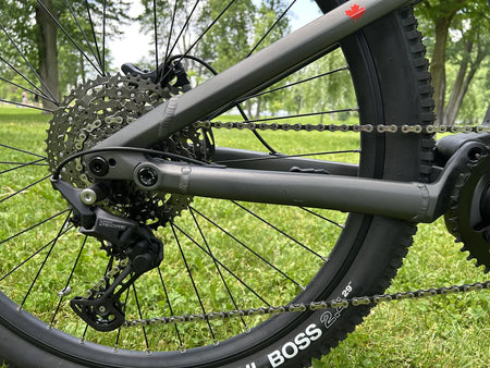 Teslica Triumph Mountain E-Bike E1H
