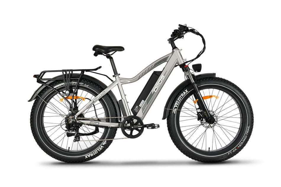 ebike electric bike