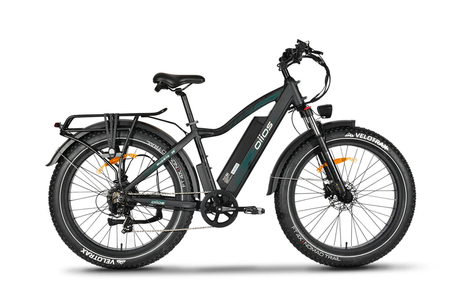 electric bike electric bike