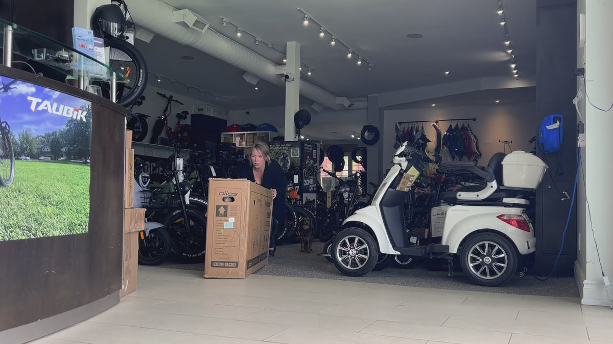 Oiios Electo 20" Foldable Fat Tire Ebike