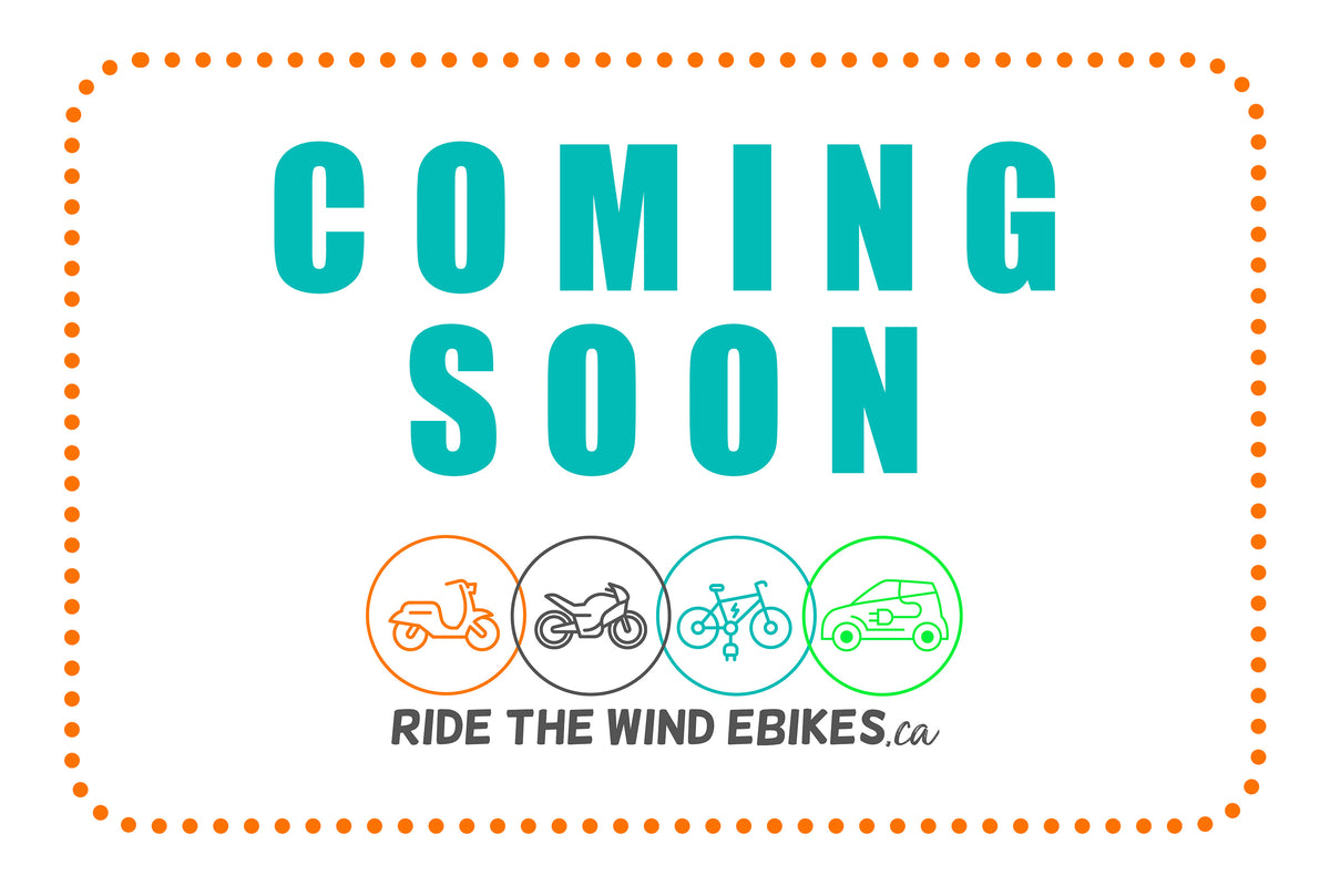 Ecolo ET4 Rio 4 Wheel Mobility Scooter Lithium (USED)